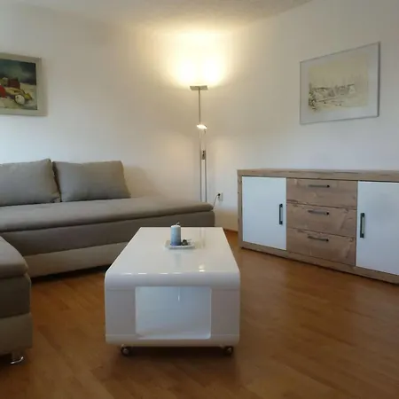 Seeschwalbe Und Lachmoewe Im Haus Findling *
