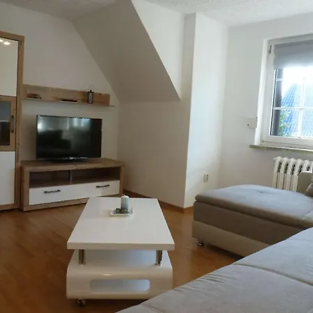 Seeschwalbe Und Lachmoewe Im Haus Findling Apartment *