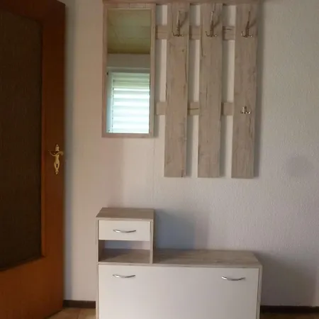 Seeschwalbe Und Lachmoewe Im Haus Findling *