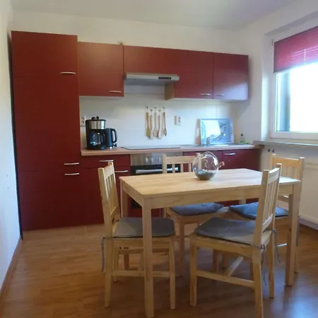Seeschwalbe Und Lachmoewe Im Haus Findling * Dranske