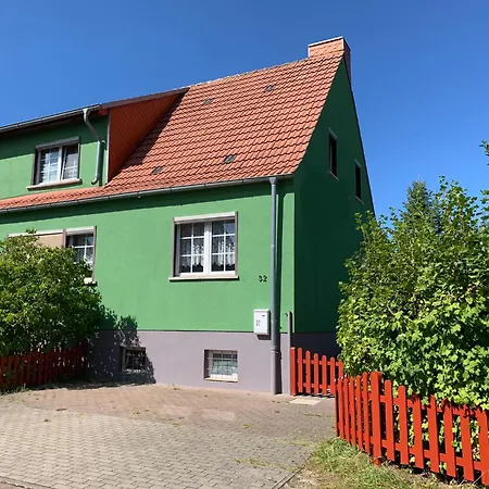 Seeschwalbe Und Lachmoewe Im Haus Findling Apartamento