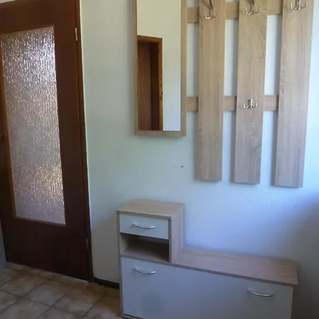 Seeschwalbe Und Lachmoewe Im Haus Findling Dranske