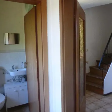 Seeschwalbe Und Lachmoewe Im Haus Findling