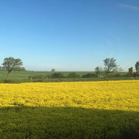 Seeschwalbe Und Lachmoewe Im Haus Findling
