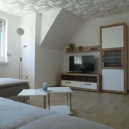 Seeschwalbe Und Lachmoewe Im Haus Findling Apartment